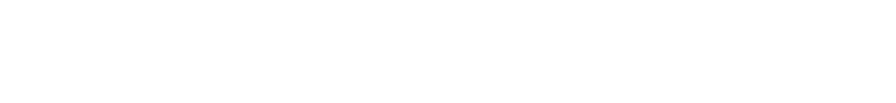 SubtlePunch logo